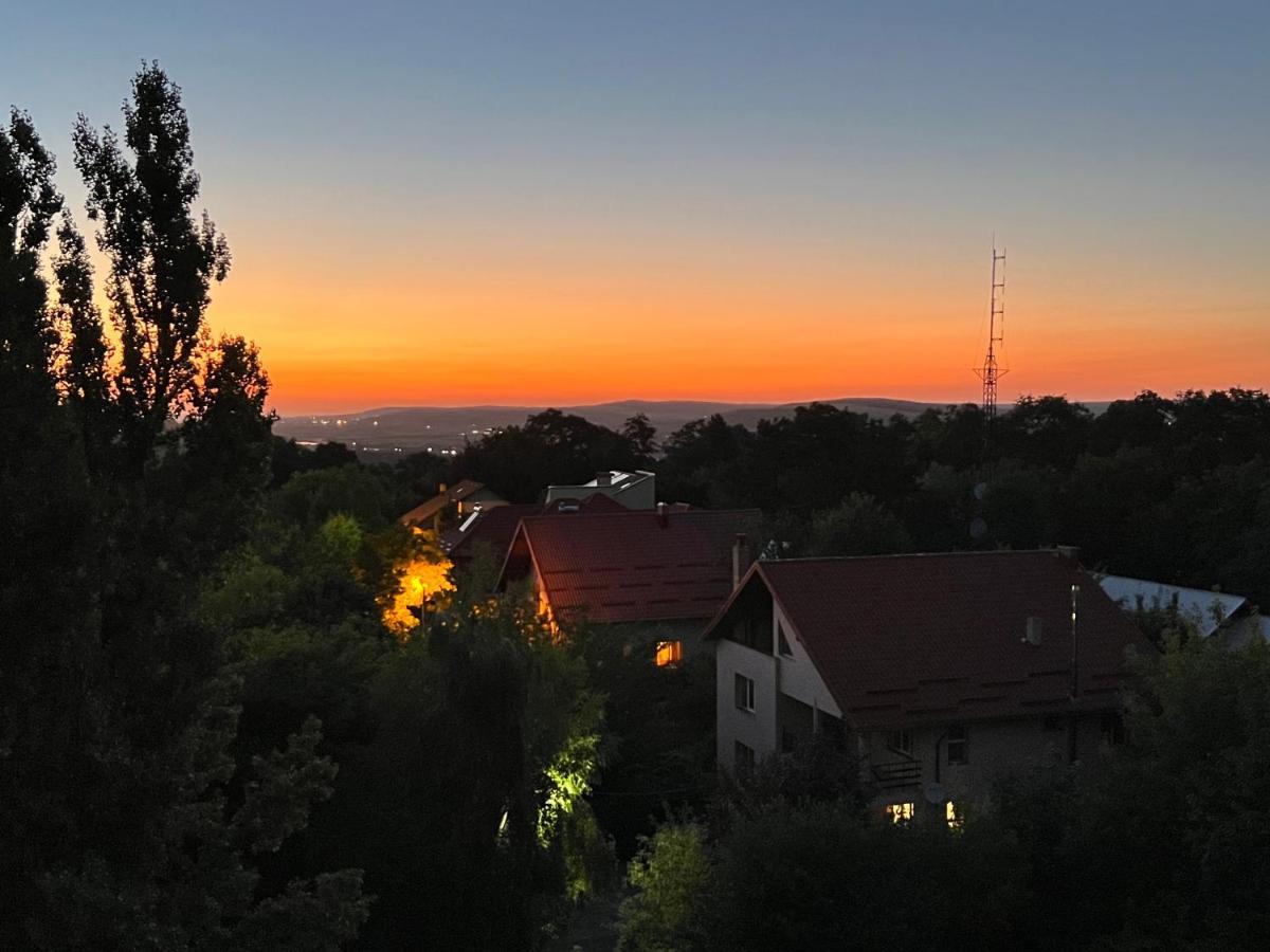 Altheda Living Zamca Apartamento Suceava Exterior foto